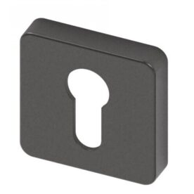 Cilinderrozet Quadro Black Pearl RVS SKG*** BIOV set