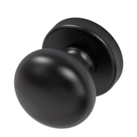 Deurknop Daphne Noir RVS BIOV enkel
