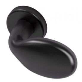 Deurklink Clio Noir RVS BIOV Links