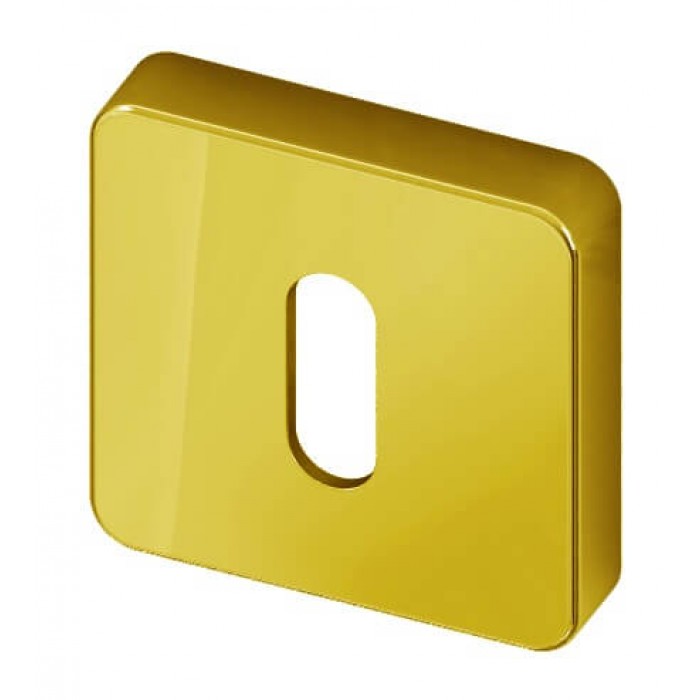 Sleutelrozet Quadro Gold RVS BIOV set